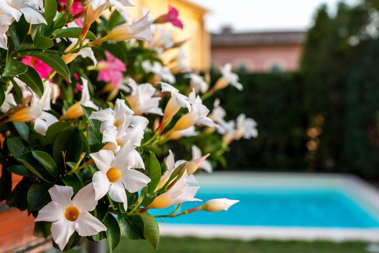 Albergo Ristorante Il Terziere Треві Екстер'єр фото
